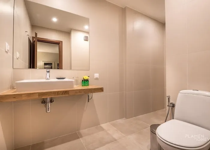 White Lavina - Ski, Bike, Hike 公寓式酒店