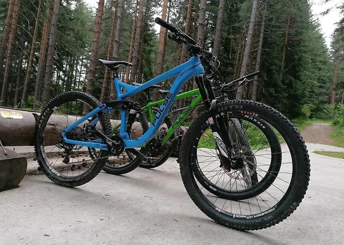 White Lavina - Ski, Bike, Hike 公寓式酒店 班斯科