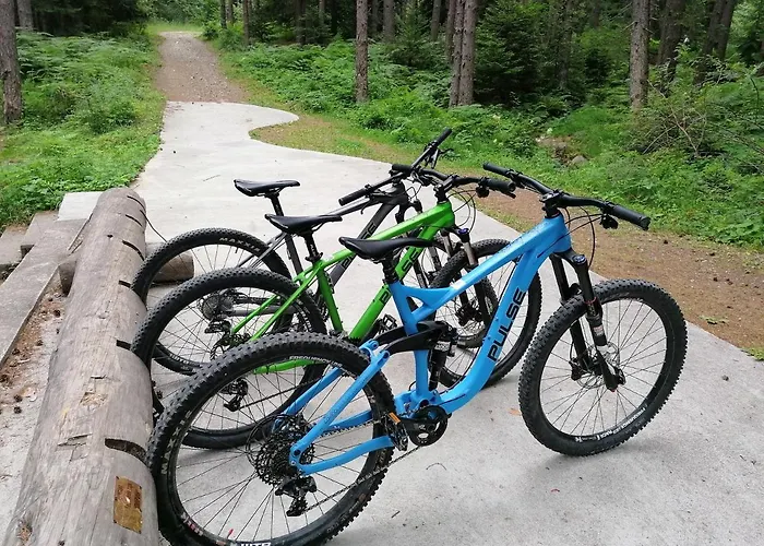 White Lavina - Ski, Bike, Hike