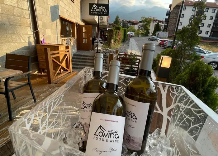 公寓式酒店 White Lavina - Ski, Bike, Hike 班斯科